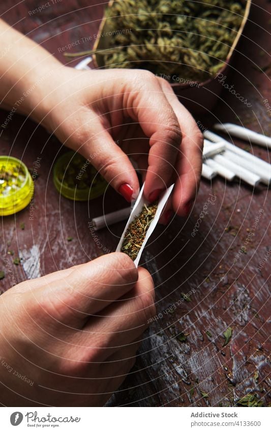 Unrecognizable female smoker making marijuana joint cannabis grinder prepare woman roll drug weed tobacco cigarette herbal bad ganja dried medical high