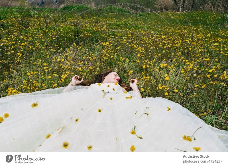 Tranquil bride lying in field with flowers meadow newlywed wedding dandelion wedding dress blossom female green lush wedding day floral decoration bloom