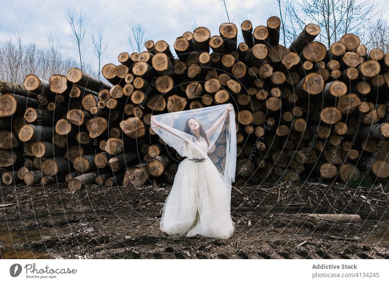 Tranquil bride covering face with veil near stack of logs cover face newlywed wedding wedding dress tranquil timber female tulle wedding day wood gorgeous
