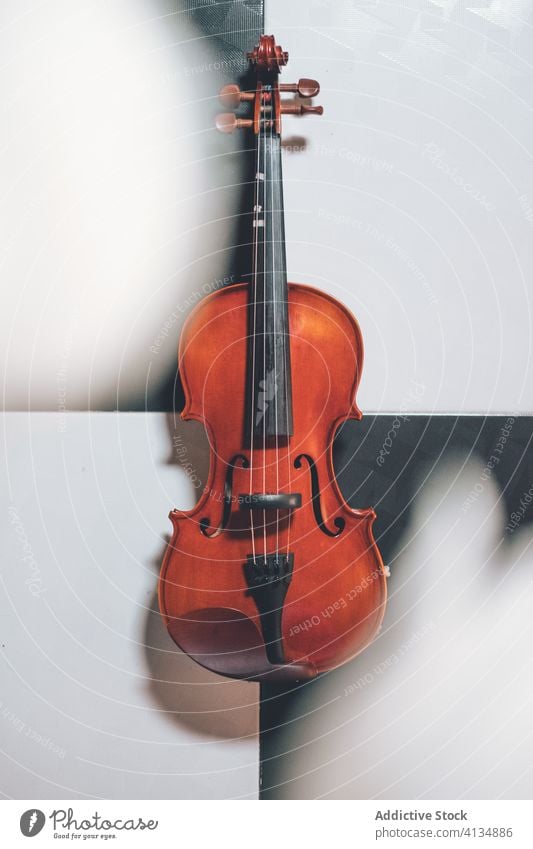 Violin on pattern floor violin music instrument shiny wooden creative sound inspiration classic design melody hobby string apartment flat object elegant