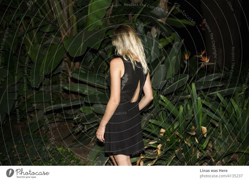 Botanical gardens in Malaga are welcoming the green beauty of nature for this gorgeous blonde girl dressed in a black dress. Summer nights in Spain are always romantic and some mystery to this image is given.