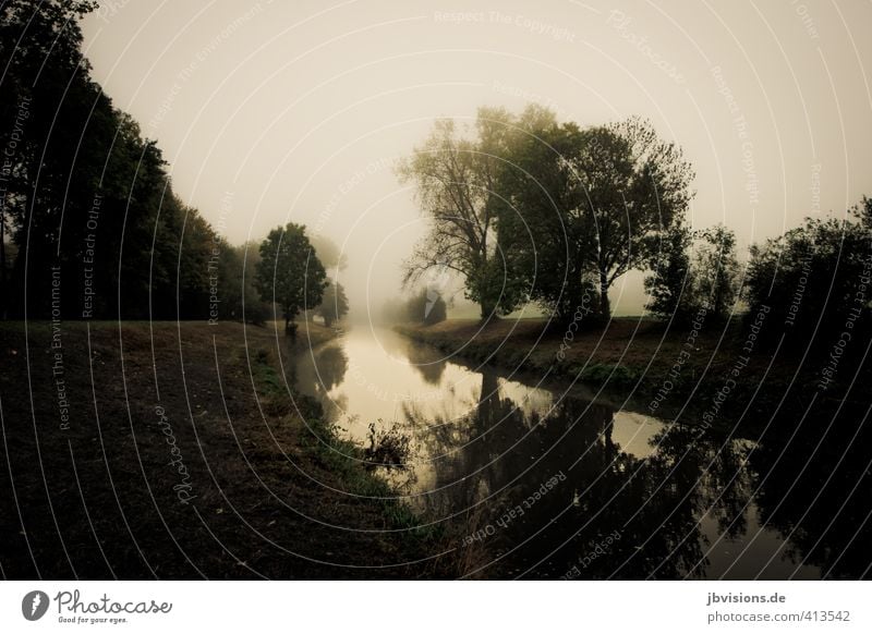 Nidda in the fog Landscape Water Fog Tree River Dream nidda Mysterious Subdued colour Exterior shot Deserted Copy Space left Copy Space bottom Dawn Contrast