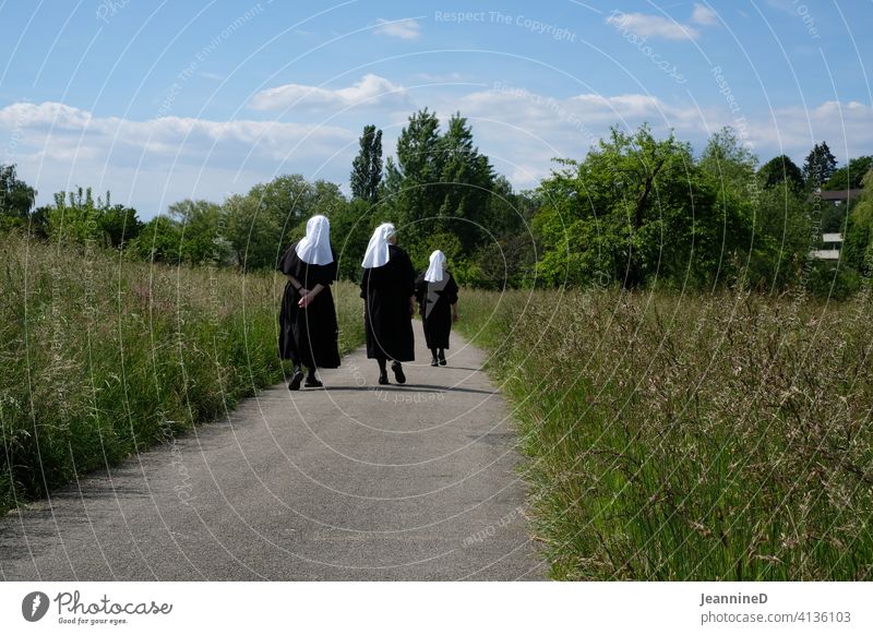 three nuns walking with tall grass by the wayside Nun Woman Day stroll Nature Landscape Meadow Lanes & trails Wayside Cautious Going Belief To go for a walk God