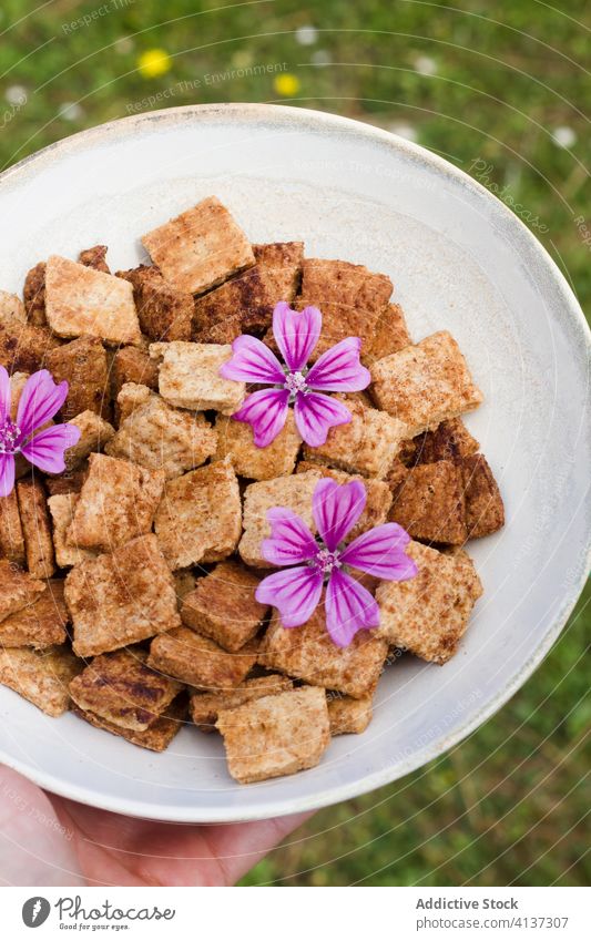 Crop woman with bowl of cereal breakfast cinnamon countryside morning yummy crunch crispy female ceramic food tasty delicious dessert healthy sweet ingredient