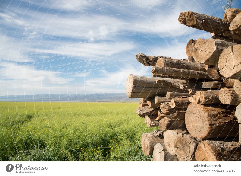 Pile of logs on field in summer timber stack woodpile lumber green meadow amazing nature balikun china countryside tranquil landscape peaceful serene grass