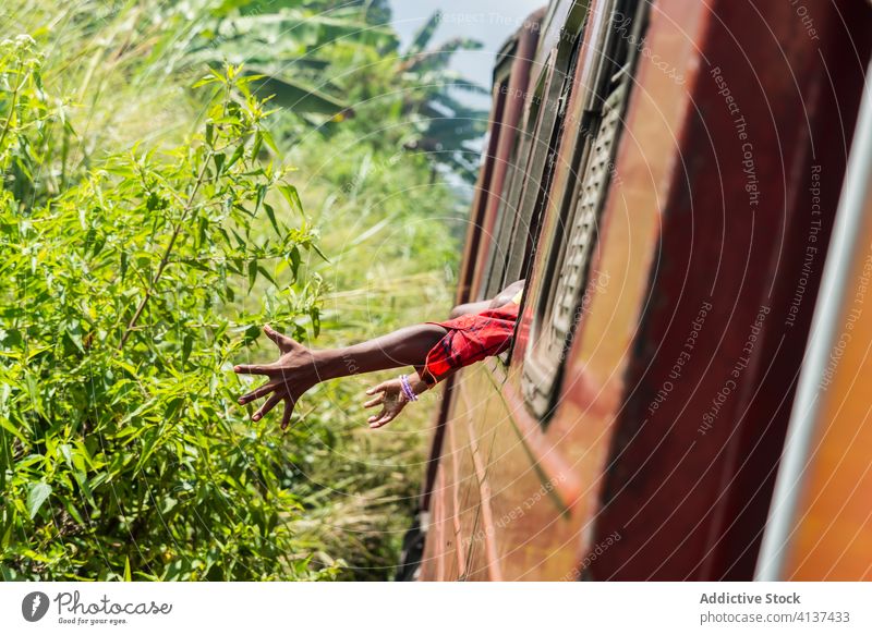 Crop ethnic people in train window freedom carefree ride transport child adult sunny kandi sri lanka plant touch green trip kid together passenger journey joy