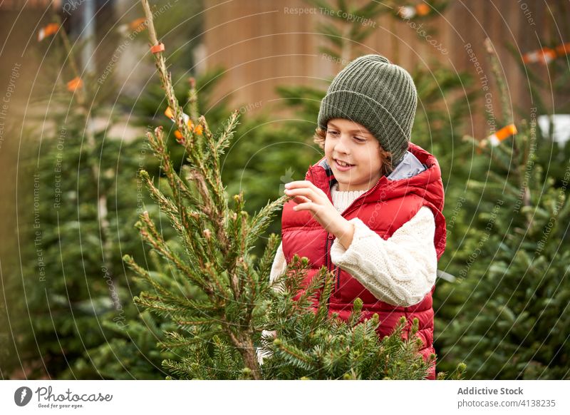 Beautiful blond boy with green wool hat, red vest, white pullover, blue pants and yellow boots choosing his Christmas tree fresh closeup boys december holiday