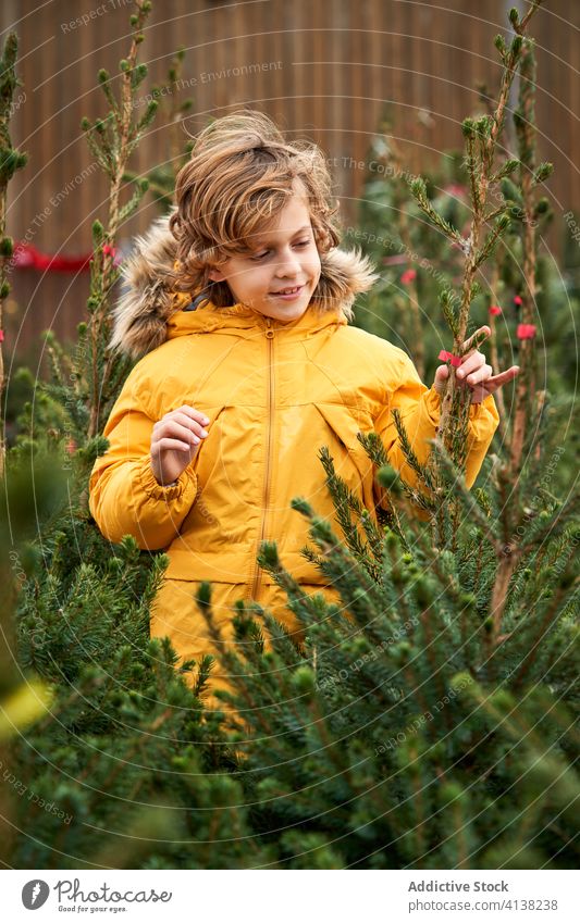 Beautiful blond boy with yellow jacket buying his Christmas tree smiling find outside pine snowy boys childhood walking seasonal brothers young youth together
