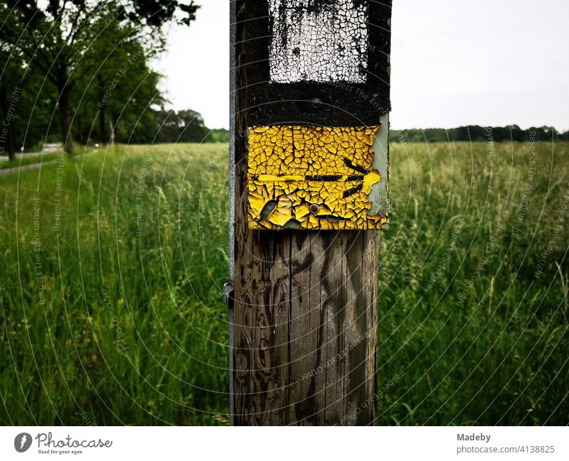 Old wooden post with signpost in yellow at a hiking trail in the Senne in Lipperreihe near Oerlinghausen in the Teutoburger Forest near Bielefeld in East Westphalia-Lippe
