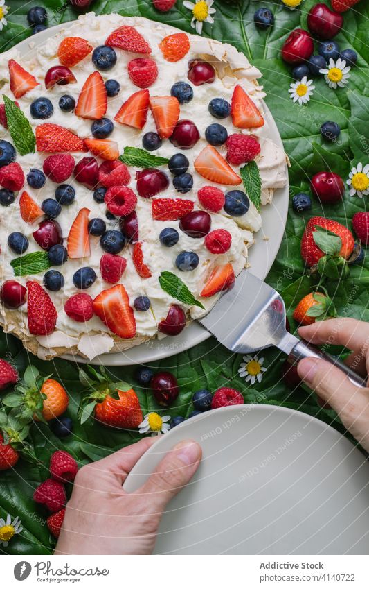 Yummy Pavlova cake with various berries pavlova dessert berry meringue sweet food delectable delicious serve eat hand yummy assorted mix fresh strawberry