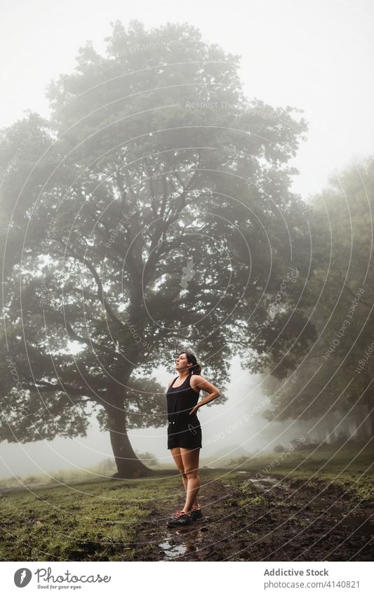 Fit sportswoman warming up during workout in forest training warm up exercise woods morning fog activewear female dirty path healthy endurance athlete wellbeing