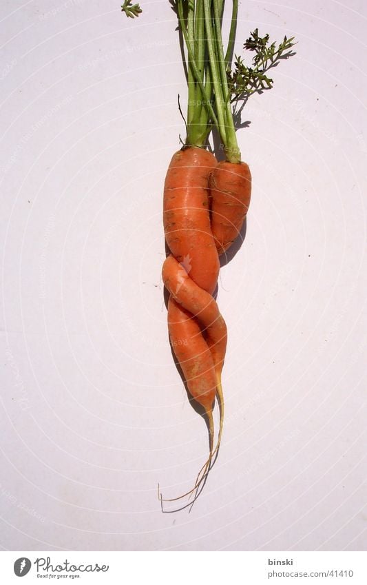 connectedness Carrot Relationship Connectedness Healthy Vegetarian diet Root baby carrot Love Near Partner