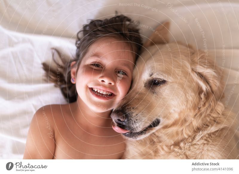 Happy girl lying with dog on crumpled bed sheet rest affection companion toothy smile together idyllic home harmony hovawart pet mammal canine calm breed