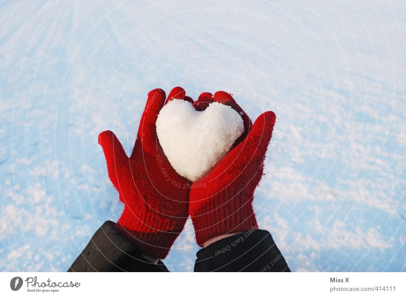 Heart of ice Winter Ice Frost Snow Cold Emotions Moody Sympathy Love Infatuation Loyalty Romance Lovesickness Gloves Heart-shaped Snowscape Snow White Red