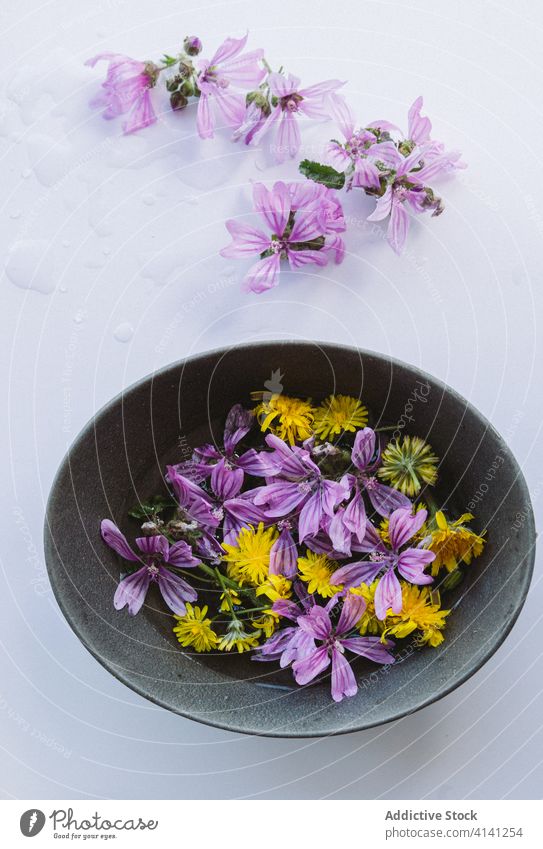 Yellow and mauve flowers in bowls on table mallow blossom bud bloom natural violet yellow creative romantic tender water studio plant fresh floral organic