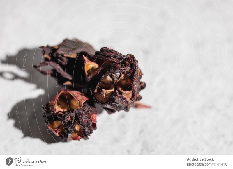 Dried hibiscus flowers in bowl dried tea ingredient natural roselle carcade herb infusion drink beverage tradition healthy aromatic tasty kitchen dry energy