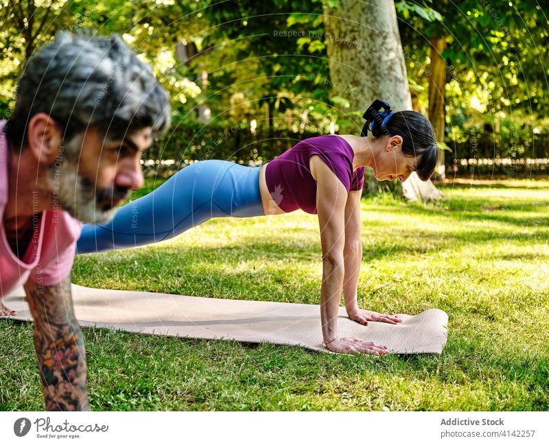 Focused couple doing yoga in Plank pose mat park plank phalakasana together concentrate balance sportswear nature wellness harmony summer healthy practice