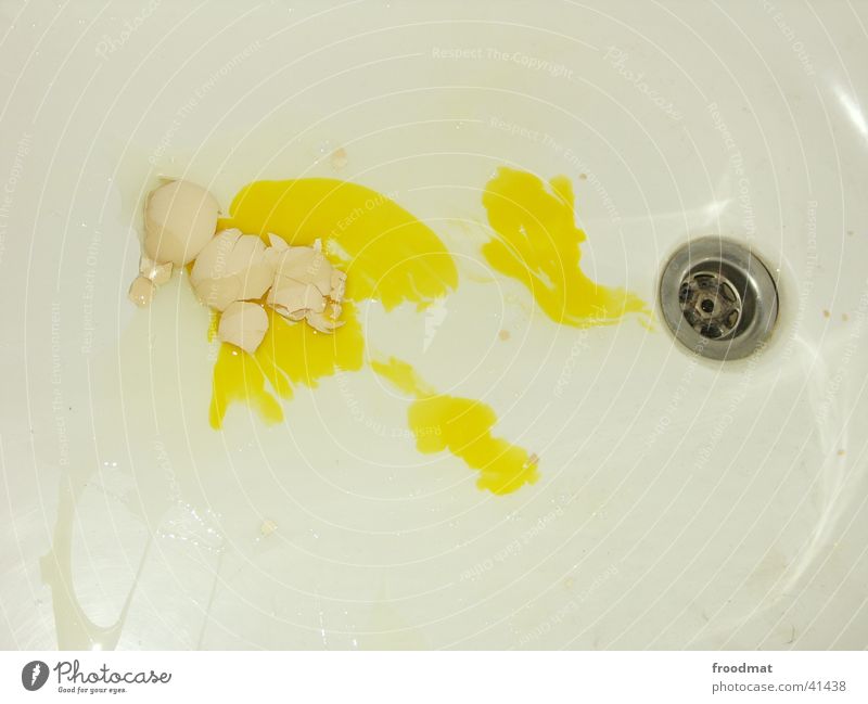 Dali becomes 100 - tub full of eggs - fourthly Broken Drainage Bathtub Yolk Eggshell Obscure