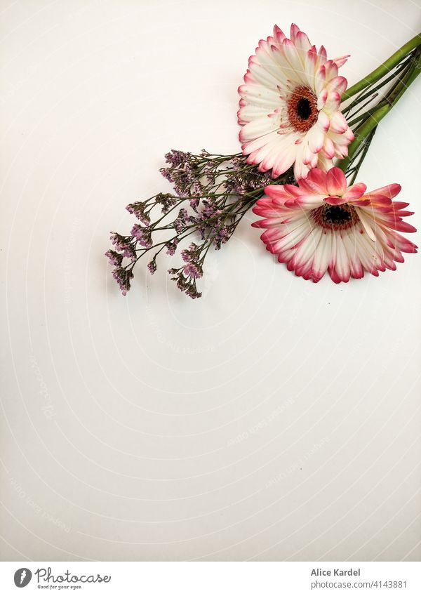 On the table are gerbera flowers with wildflowers. View from above. Nature Blossom Spring Summer Plant pretty White Pink Fresh naturally Decoration Bouquet