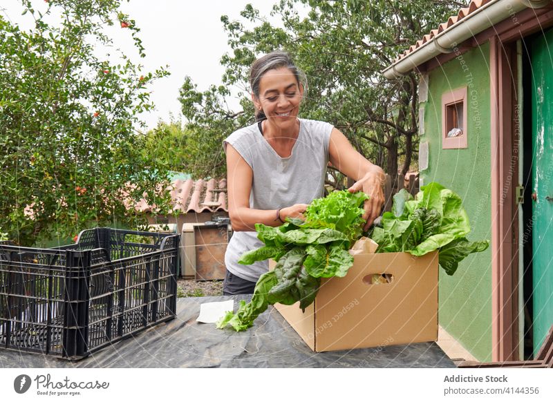 Smiling female gardener with fresh vegetables harvest farmer woman ripe various box countryside senior natural agriculture organic green healthy assorted