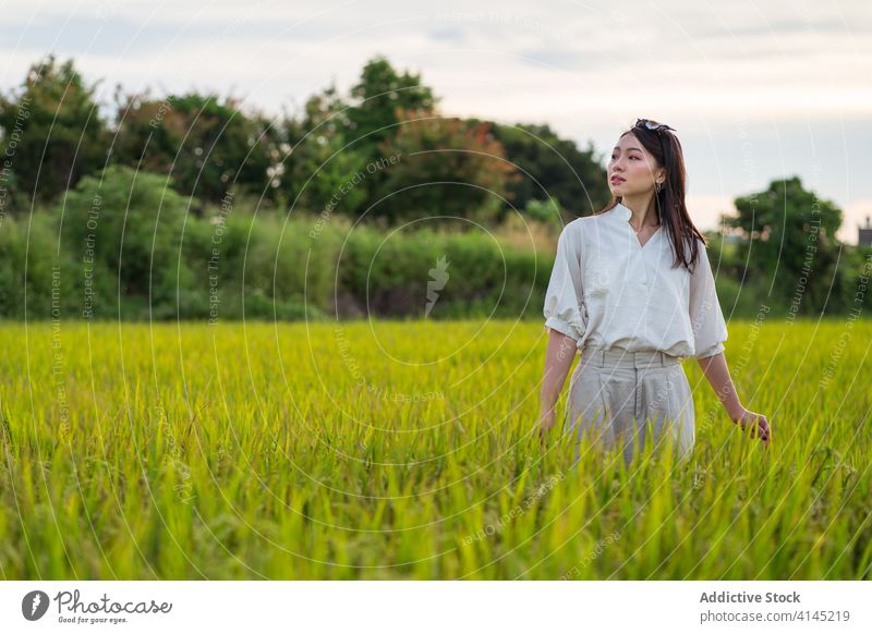 Asian woman in green field in summer rice lush enjoy weekend nature serene rest female ethnic asian tranquil relax calm peaceful stand harmony fresh lady