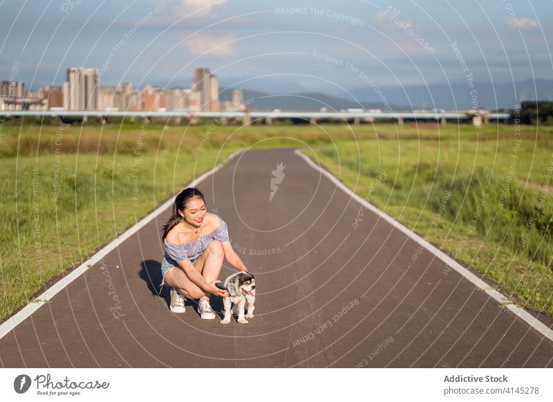 Woman embracing dog squatting on pathway in summer woman embrace affection bonding companion canine pet animal purebred mammal american cocker spaniel walkway