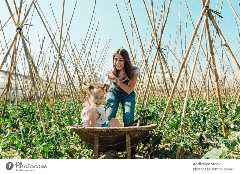 Happy girl sitting in wheelbarrow near laughing mother in garden having fun tomato bush horticulture stick countryside blue sky childcare happy carefree