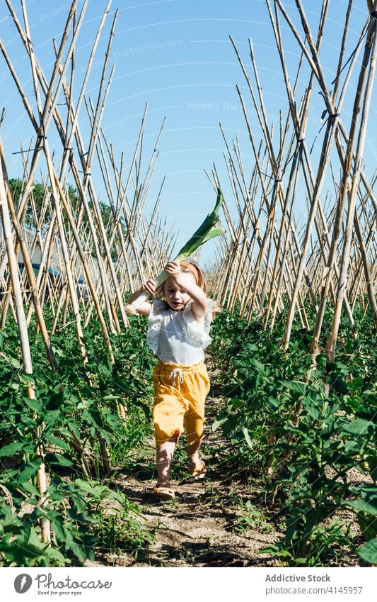 Funny girl running with stalk of leek between tomato bushes playful carefree having fun entertain stick wooden weekend holiday activity horticulture countryside