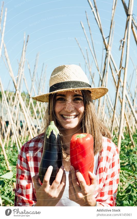 Smiling gardener showing big eggplant and red pepper in summer vegetable harvest fresh horticulture content countryside blue sky woman glad idyllic straw hat