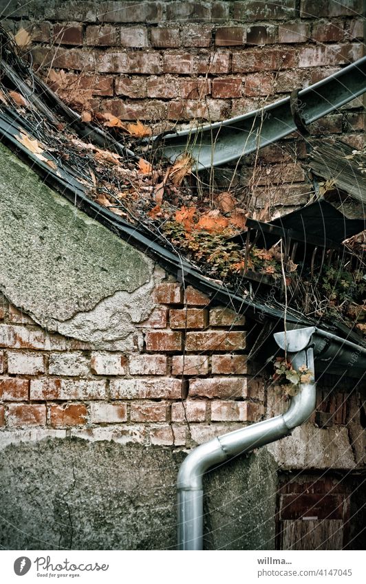 one shall bear the other's burden Eaves Downspout Rain gutter Downpipe dilapidated Decline Brick building Derelict Building House (Residential Structure) Roof