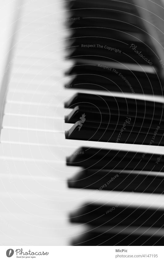Music in black and white keys Keyboard instrument Piano fumble black-and-white silent on one's own Practice Musical instrument Detail Play piano Concert