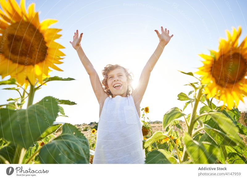 Cute child in blooming sunflower field boy enjoy summer meadow blossom preteen nature happy smile excited countryside cheerful green yellow color kid vivid