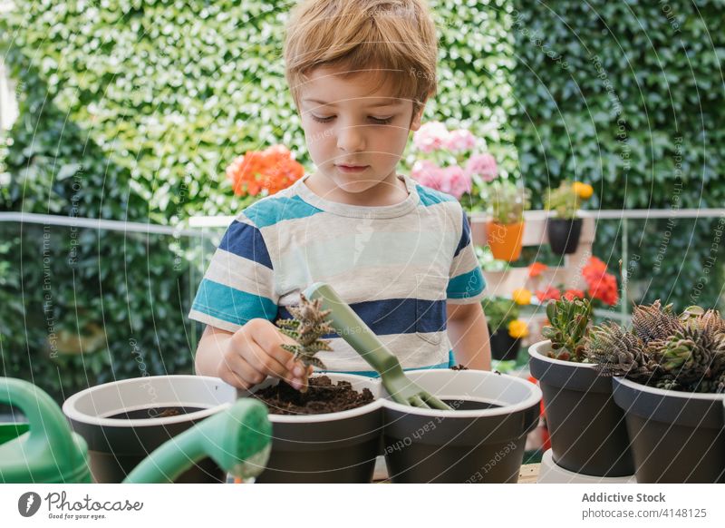 Boy with gardening fork prepare soil for plant in pot boy loosen horticulture cultivate cacti hedge harmony free time lush green grower tool child hobby trowel