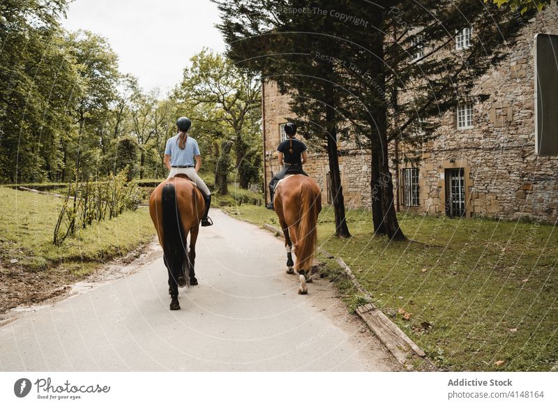 Female horsewomen riding horses along road ride equestrian horseback together jockey rider dressage chestnut animal equine owner pet mammal pave path sit saddle