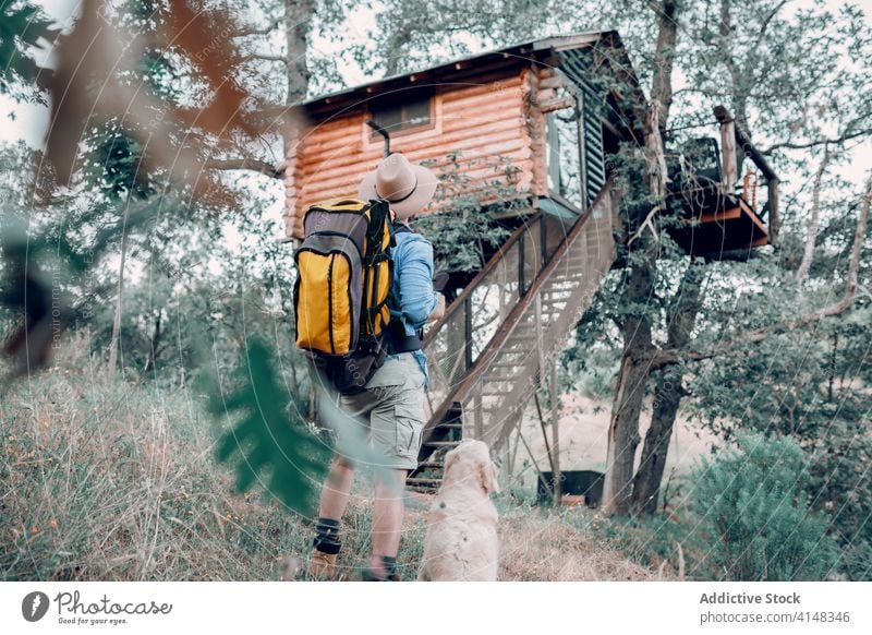 Traveling man near tree house with dog in woods forest cabin traveler hut backpack wooden building adventure male tourism journey nature holiday landscape green
