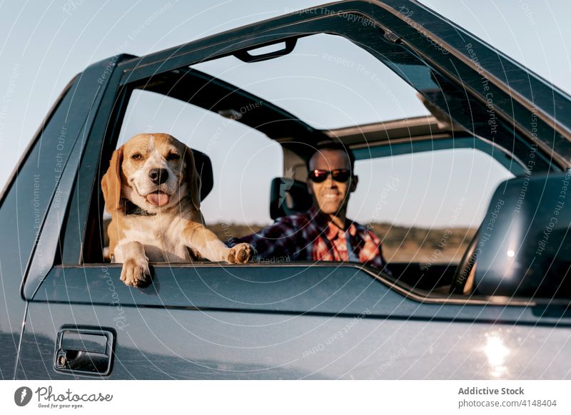 Cute dog with cheerful traveler contemplating nature from inside car tourist contemplate tongue out landscape tourism idyllic trip harmony pet hovawart breed