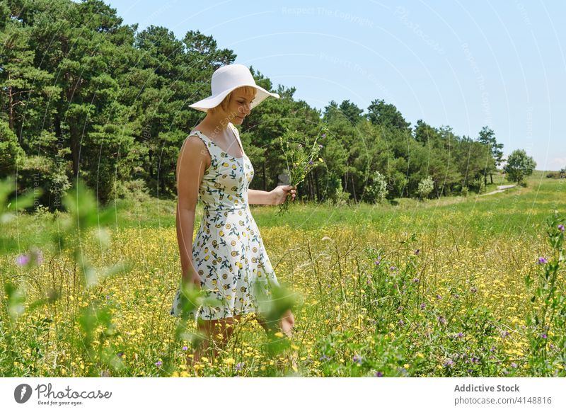 Woman walking in blooming field summer bouquet meadow woman flower blossom sunny content dress hat countryside young enjoy fresh smile relax floral lady bunch