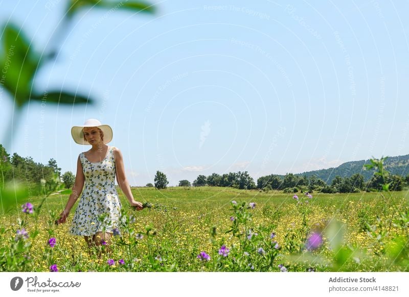 Woman walking in blooming field summer bouquet meadow woman flower blossom sunny dress female hat countryside young fresh smile relax floral lady bunch nature