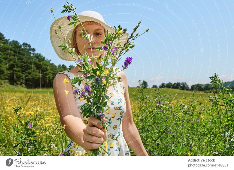 Smiling woman in blooming field summer bouquet meadow flower blossom sunny content dress female happy hat countryside young enjoy fresh smile relax floral lady