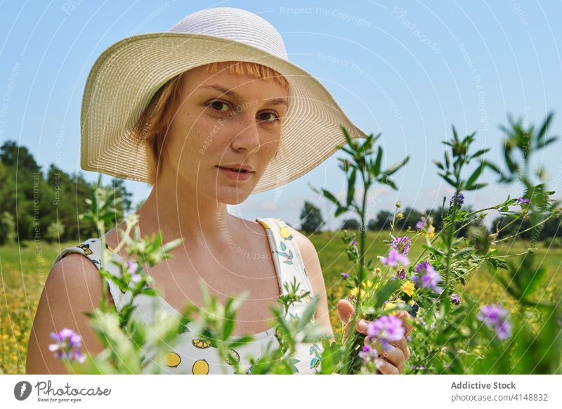 Smiling woman in blooming field summer bouquet meadow flower blossom sunny content dress female happy hat countryside young enjoy fresh smile relax floral lady