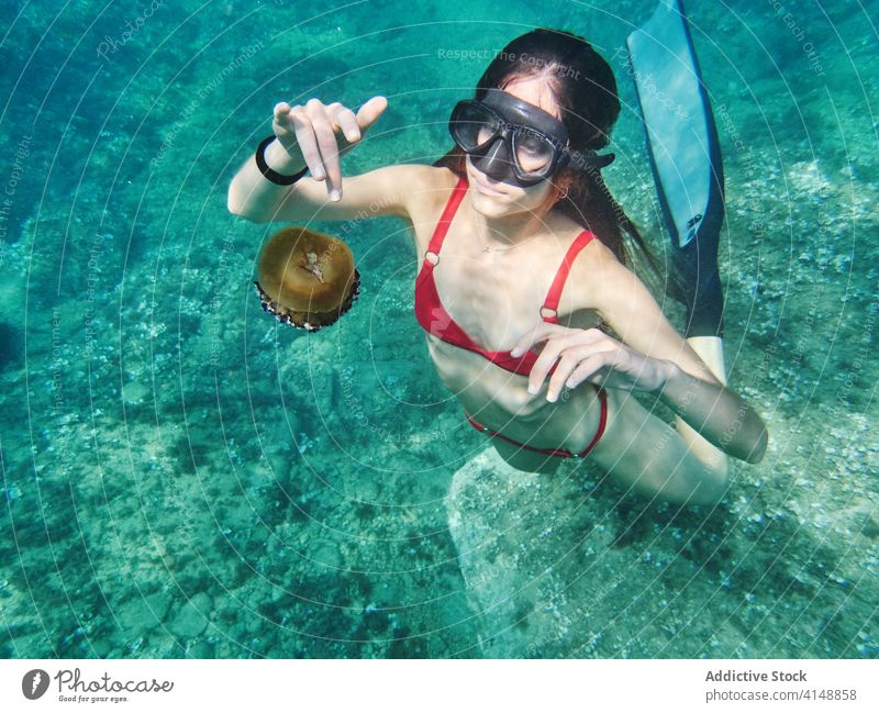 Female diver exploring underwater animal woman jellyfish mask goggles ocean life explore sea snorkel scuba swim young female clean environment exotic wildlife