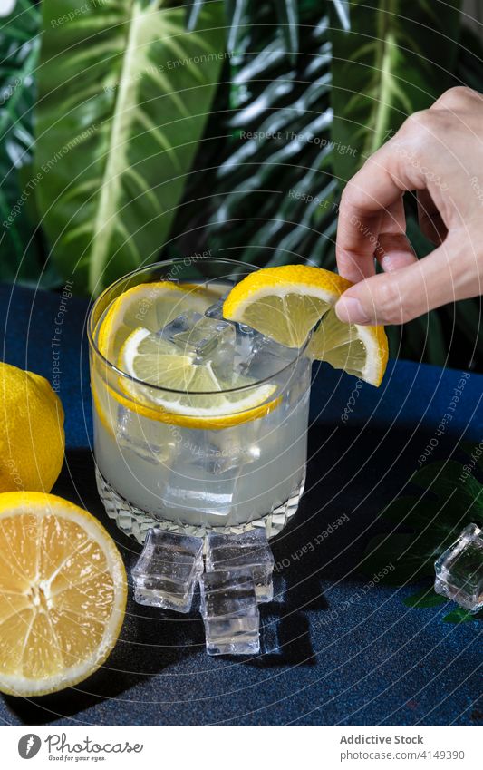 Crop person with glass of lemon cocktail alcohol refreshment garnish beverage slice serve cold cool cube table fruit citrus liquid drink tasty party bar
