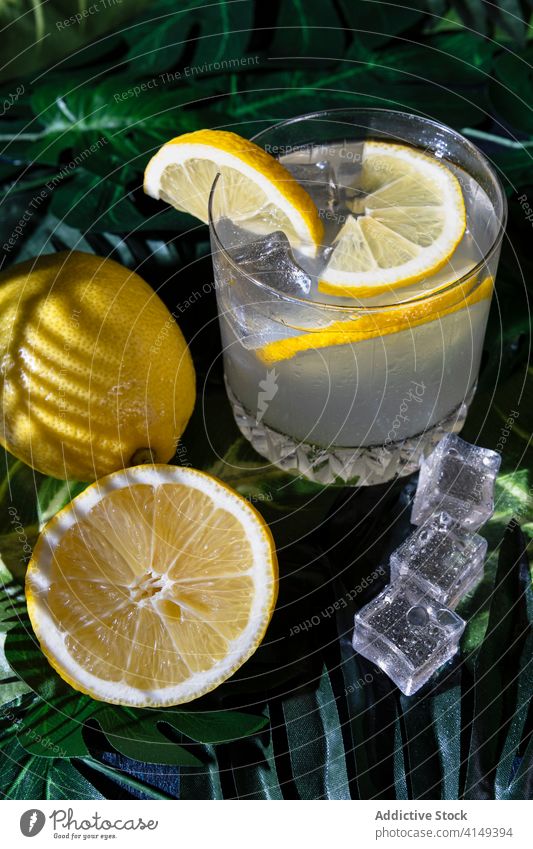 Glass of alcohol cocktail on table drink lemon cold refreshment ice cube glass cool liquid citrus slice bar beverage pub fruit juice tasty delicious liquor