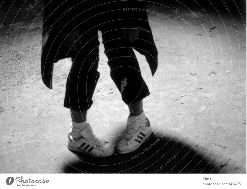 Miri Penguin Footwear Sneakers Abstract Attic Feet Legs Black & white photo Floor covering Shadow Funny