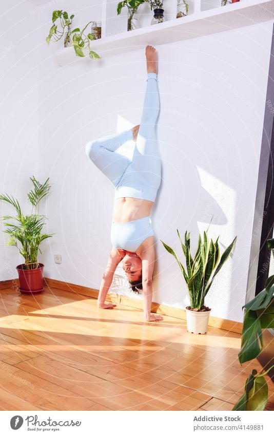 Tranquil woman practicing yoga at home female practice flexible handstand tranquil healthy balance asana wellness stretch harmony adho mukha vrksasana body