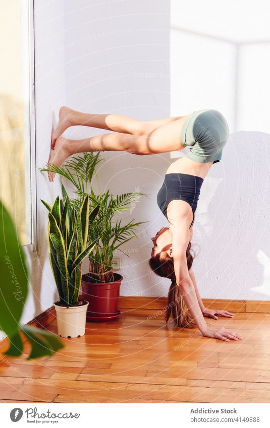 Peaceful woman doing yoga in Supported Headstand pose practice supported headstand pose urdhva dandasana flexible lean concentrate mindfulness female wall home