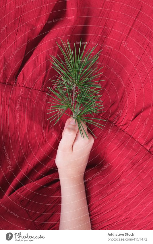 Unrecognizable girl with green tree branch red dress nature pure pine summer color hand romantic fresh natural plant tender relax bright gentle female kid child