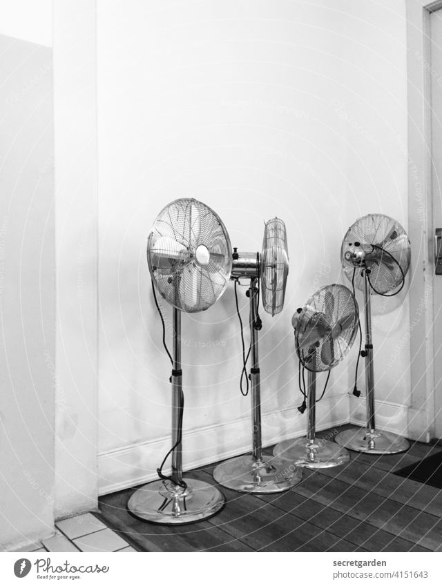 The Four Musketeers. Fan Summer Hot Ventilation four Deserted Technology Metal Climate Air conditioning Electrical equipment Propeller Interior shot Wait