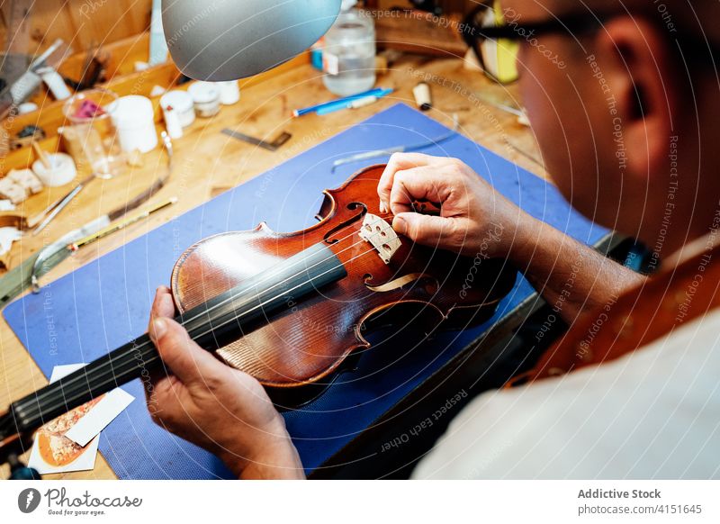 Craftsman assembling bridge on violin repair string luthier craftsman artisan restore work workshop skill master male maker handmade occupation professional fix