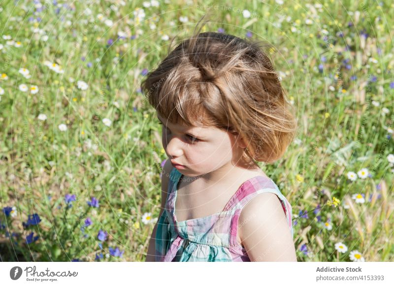 Cute little child in field weekend unemotional kid summer cute rest grass serious adorable relax sit childhood sweet daytime holiday spring pleasure lawn